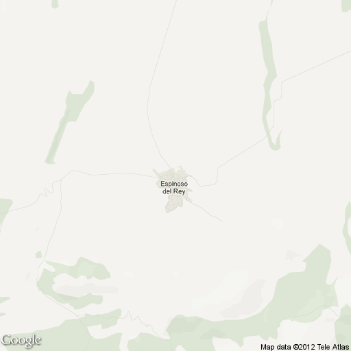 Imagen de Espinoso del Rey mapa 45650 1 