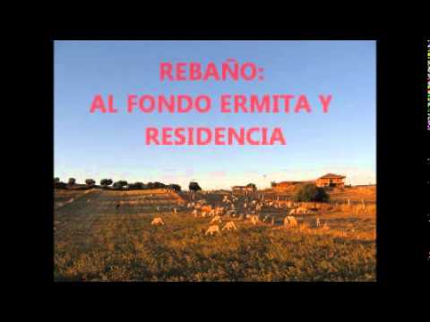 Imagen de Espinoso del Rey mapa 45650 4 