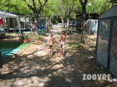 Imagen de Esponellà mapa 17832 4 