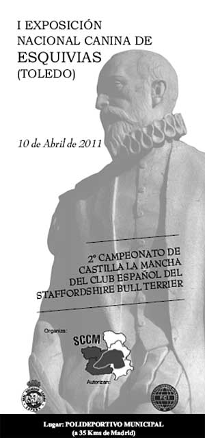 Imagen de Esquivias mapa 45221 4 