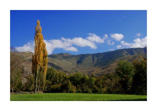 Imagen de Esterri de Cardós mapa 25571 5 