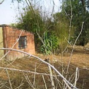 Imagen de Estremera mapa 28595 6 