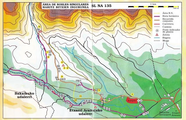 Imagen de Etxarri-Aranatz mapa 31820 4 