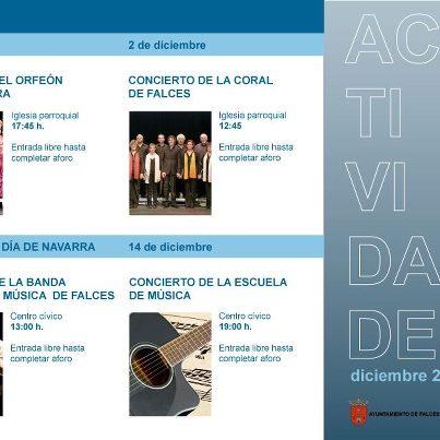Imagen de Falces mapa 31370 4 