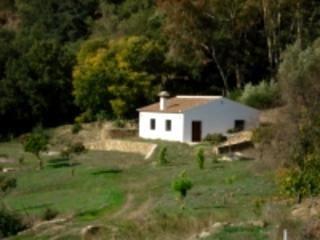 Imagen de Faraján mapa 29461 5 