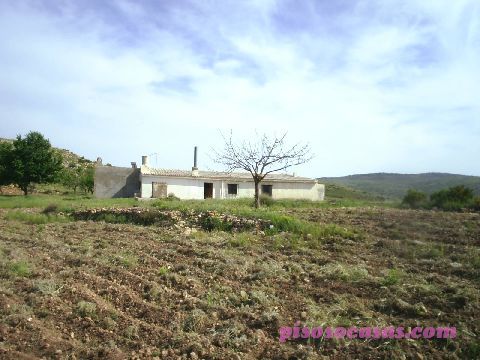 Imagen de Felix mapa 04728 2 