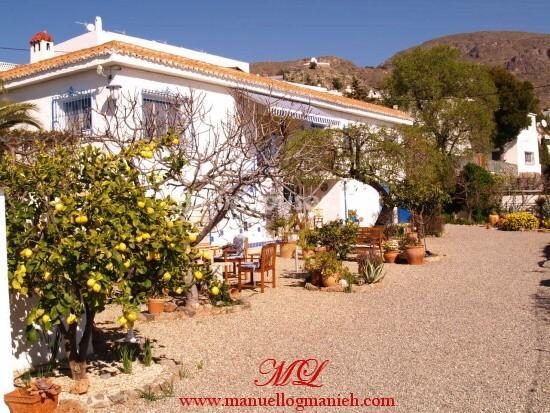 Imagen de Felix mapa 04728 3 