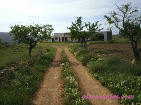 Imagen de Felix mapa 04728 6 