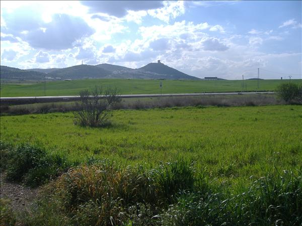 Imagen de Feria mapa 06390 6 