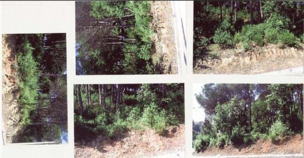 Imagen de Fogars de la Selva mapa 08495 1 