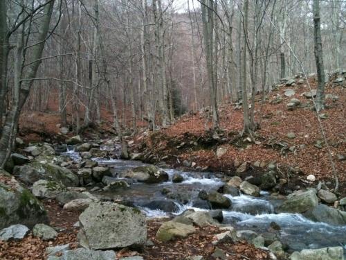 Imagen de Fogars de Montclús mapa 08479 2 