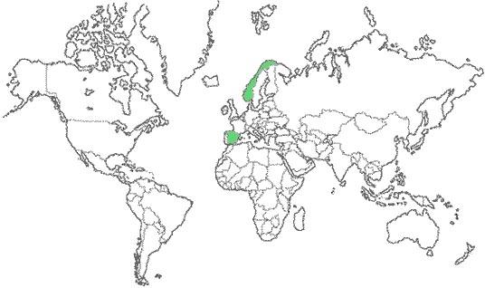 Imagen de Fondarella mapa 25244 3 