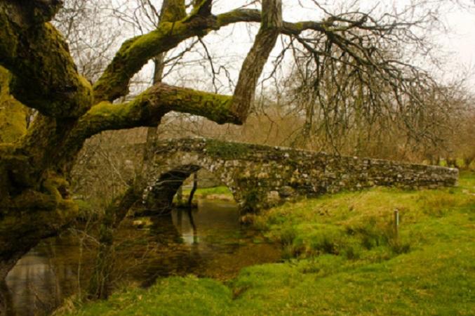 Imagen de Forcarei mapa 36550 4 