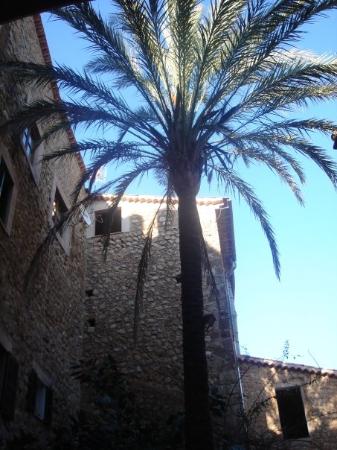 Imagen de Fornalutx mapa 07109 5 