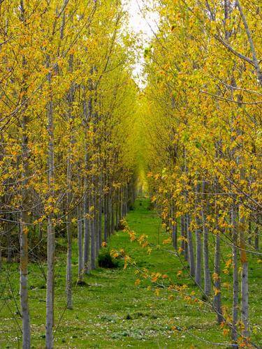 Imagen de Fresno de la Vega mapa 24223 2 