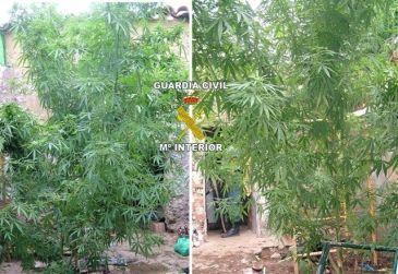 Imagen de Fuenlabrada de los Montes mapa 06660 6 