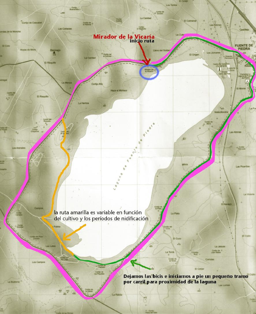 Imagen de Fuente de Piedra mapa 29520 2 