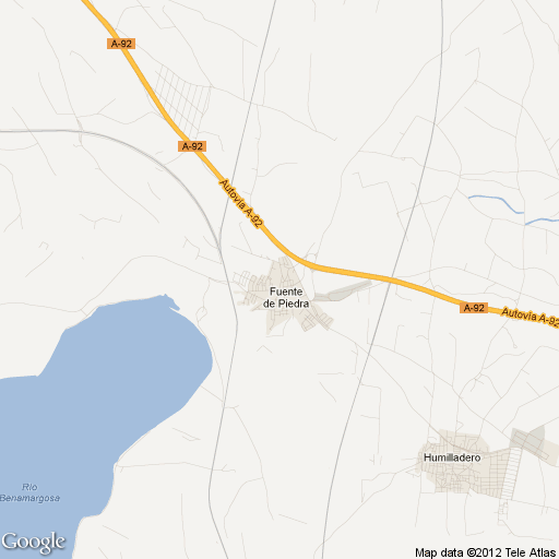 Imagen de Fuente de Piedra mapa 29520 3 