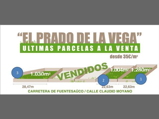 Imagen de Fuentelapeña mapa 49410 2 