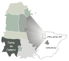 Imagen de Fuentes de Nava mapa 34337 2 