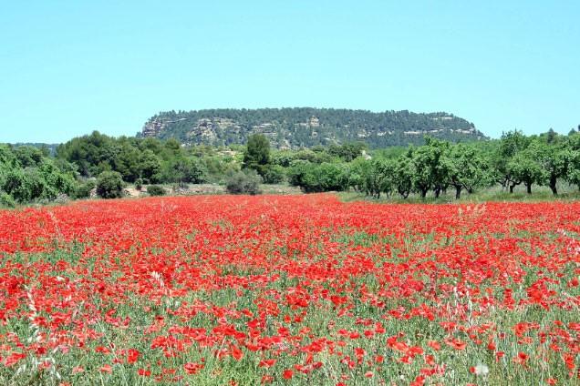 Imagen de Fuentespalda mapa 44587 3 