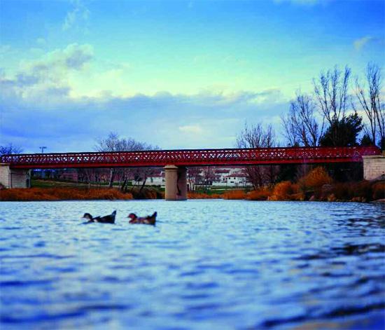 Imagen de Fuentidueña de Tajo mapa 28597 6 