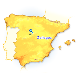 Imagen de Gallegos mapa 40162 5 