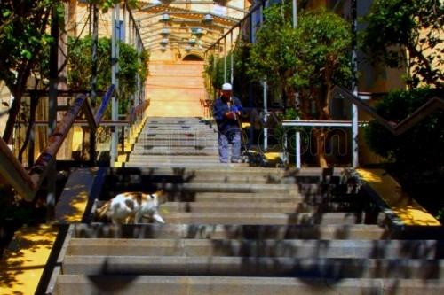 Imagen de Gallur mapa 50650 3 