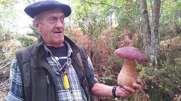 Imagen de Garaioa mapa 31692 2 