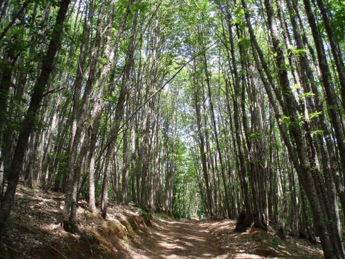 Imagen de Garciaz mapa 10250 3 