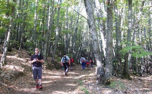 Imagen de Garciaz mapa 10250 6 