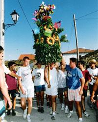 Imagen de Garciotum mapa 45643 3 