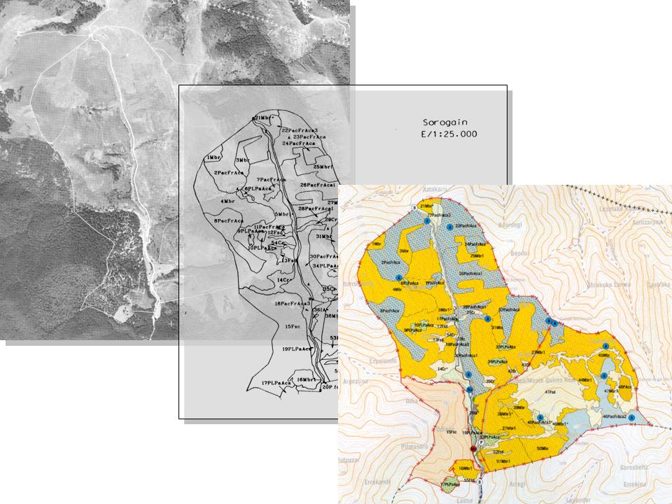 Imagen de Garde mapa 31414 4 