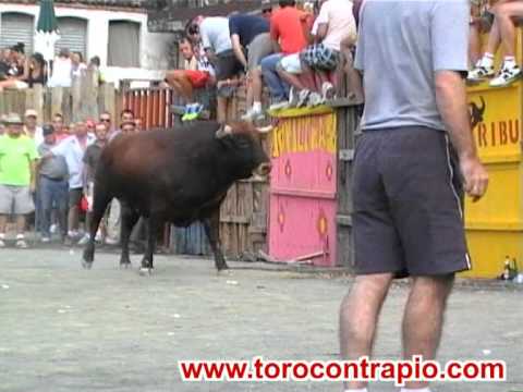 Imagen de Garrovillas de Alconétar mapa 10940 6 