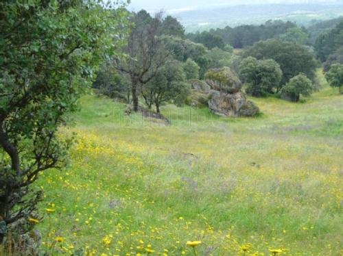 Imagen de Gavilanes mapa 05460 4 