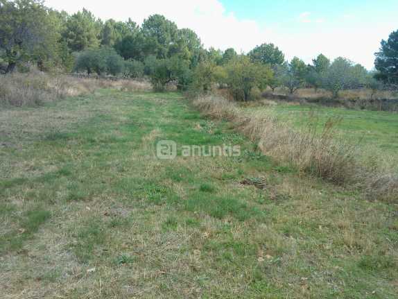 Imagen de Gavilanes mapa 05460 6 