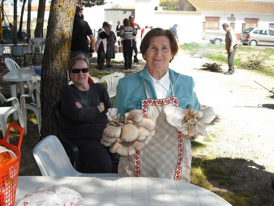 Imagen de Golosalvo mapa 02253 5 