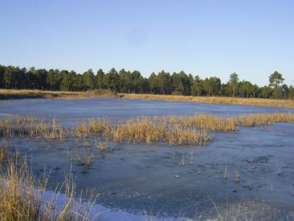 Imagen de Gomezserracín mapa 40240 3 