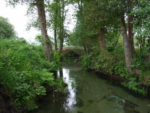 Imagen de Gondomar mapa 36380 6 