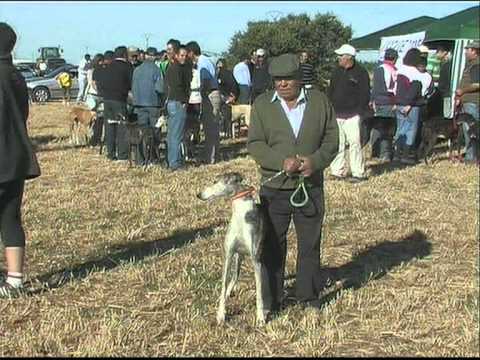 Imagen de Gordaliza del Pino mapa 24325 4 