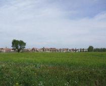 Imagen de Gordoncillo mapa 24294 6 