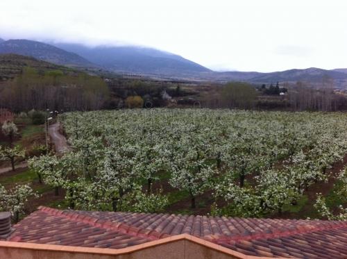 Imagen de Gotor mapa 50257 3 