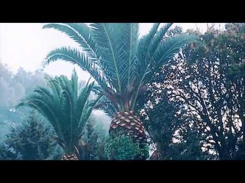 Imagen de Granja de Torrehermosa mapa 06910 6 