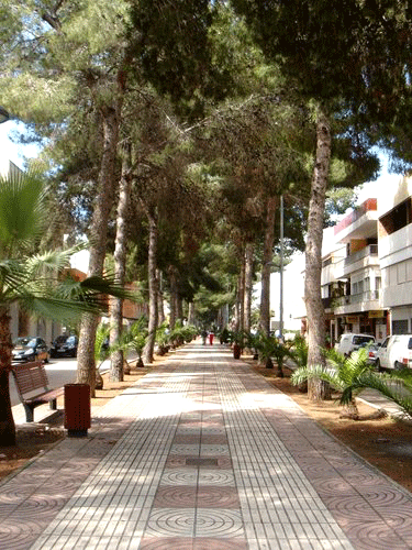 Imagen de Guadassuar mapa 46610 2 