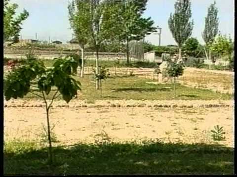 Imagen de Guijo de Coria mapa 10815 5 