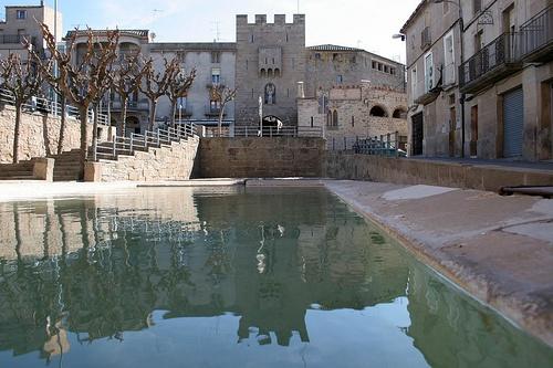 Imagen de Guissona mapa 25210 3 