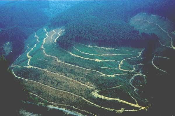 Imagen de Guriezo mapa 39788 6 