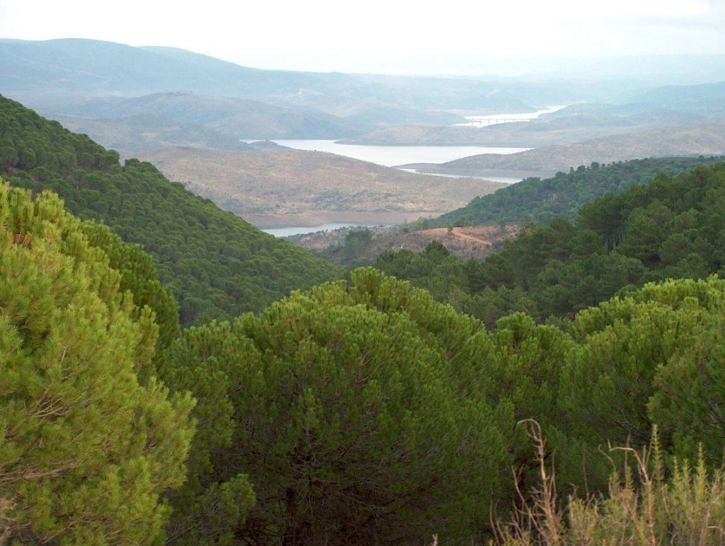 Imagen de Helechosa de los Montes mapa 06692 1 