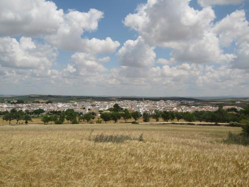 Imagen de Herrera mapa 41567 5 