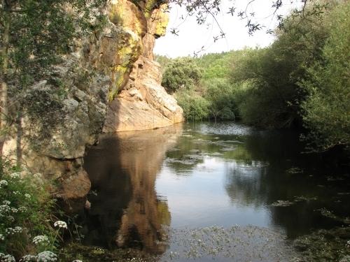 Imagen de Herrera de Alcántara mapa 10512 4 